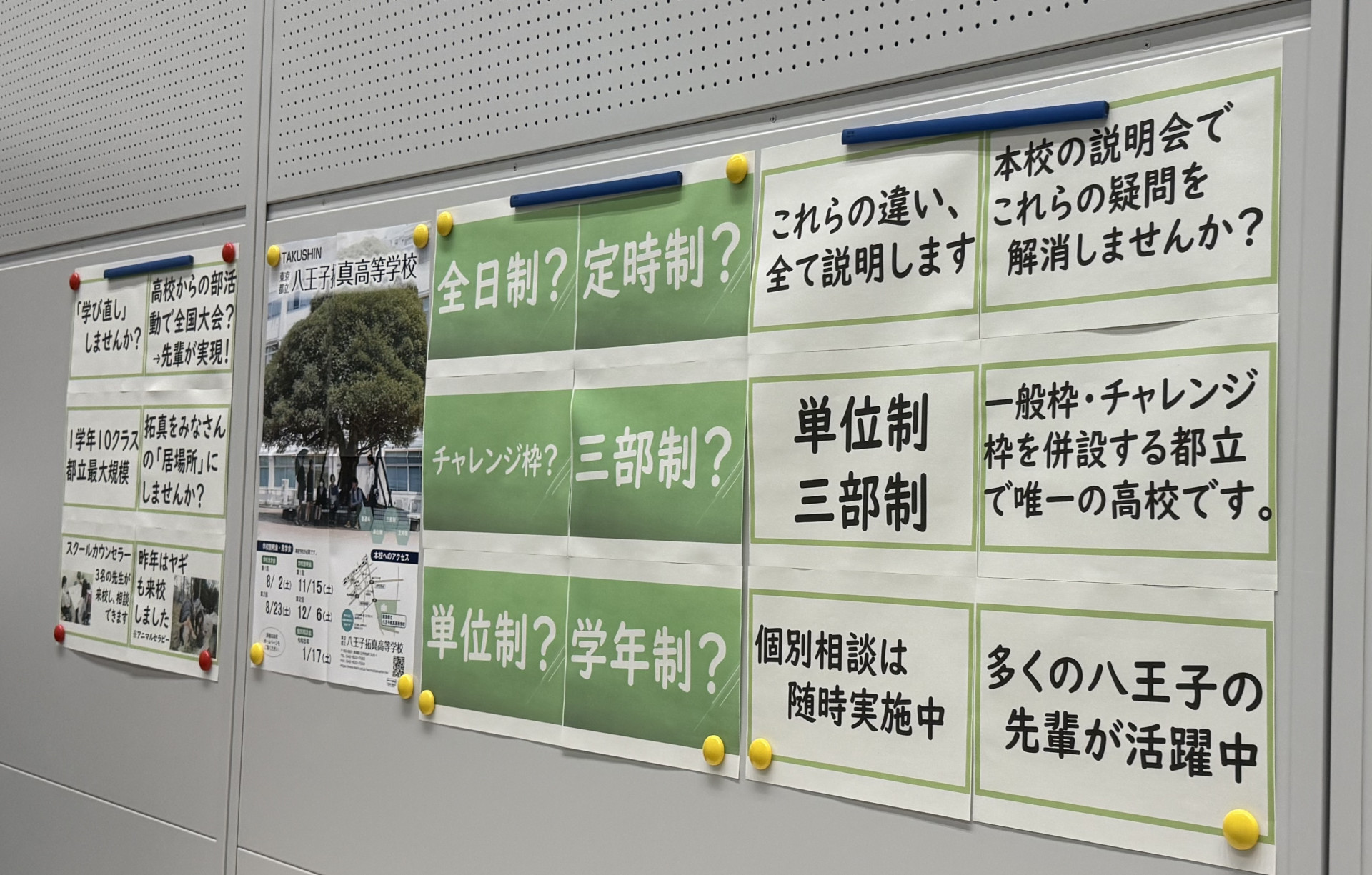 Image (1)